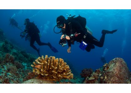 8 Reasons tell me why I should go scuba diving