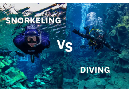 How is scuba diving different from snorkeling?